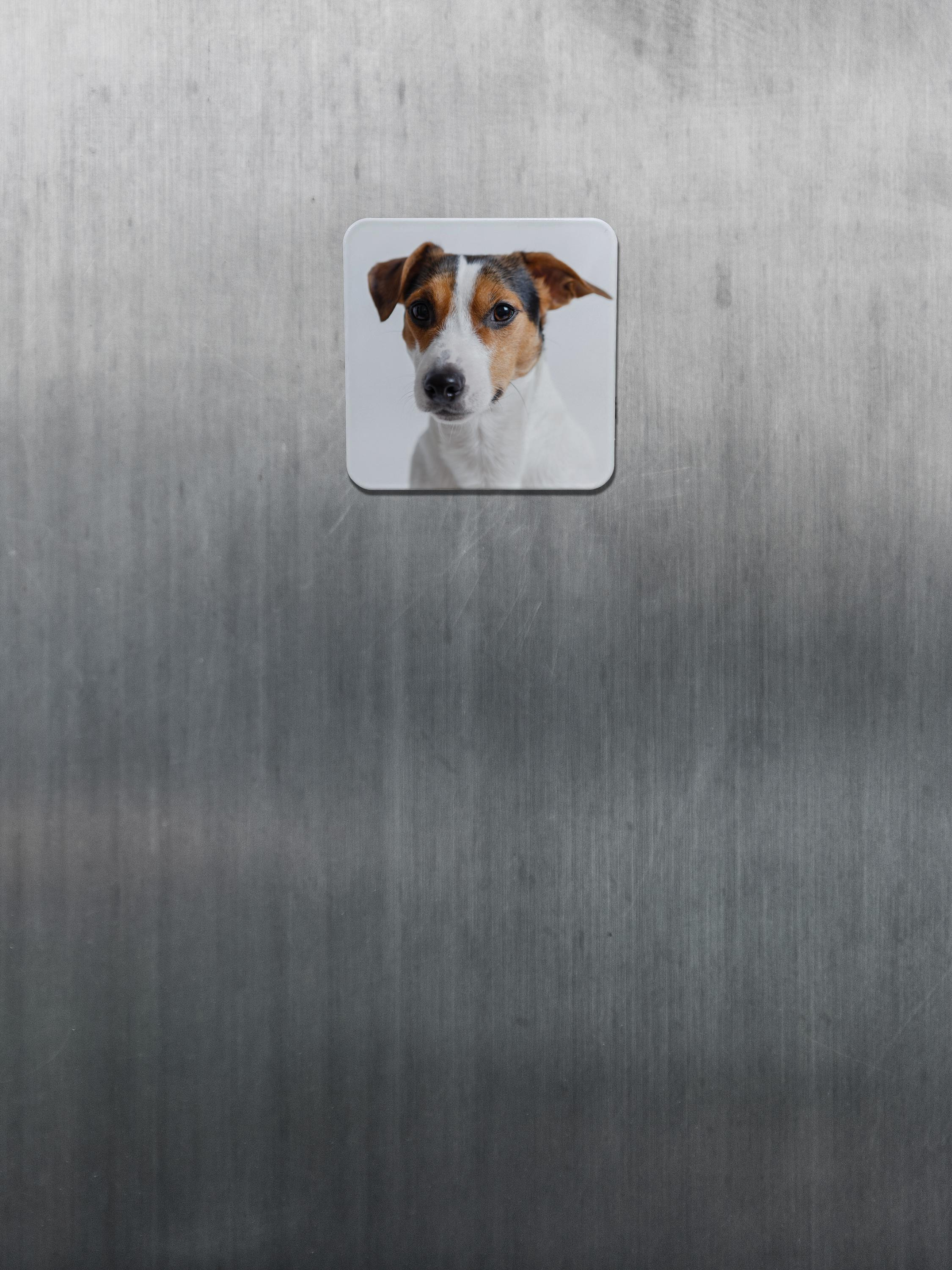 Custom 5x5 cm Acrylic Fridge Magnets – Personalized UV Print Any Design 2 - MeasureMason Custom 5x5 cm Acrylic Fridge Magnets – Personalized UV Print Any Design 2