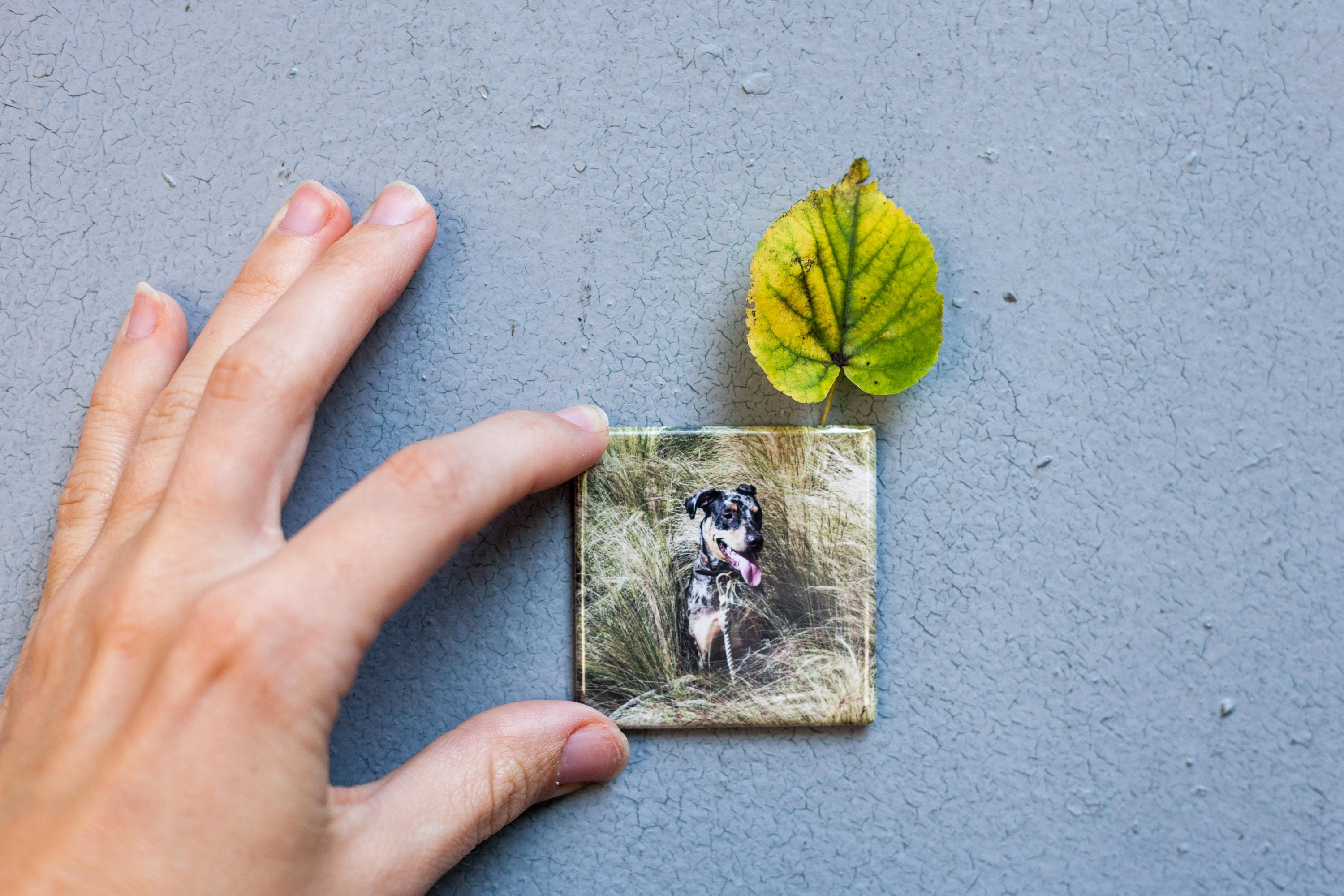18 Custom Photo Magnets 2x2" - Locker Magnets Stocking Stuffer, Personalized Photo Gifts, Instagram Printing Service 3 - MeasureMason 18 Custom Photo Magnets 2x2" - Locker Magnets Stocking Stuffer, Personalized Photo Gifts, Instagram Printing Service 3