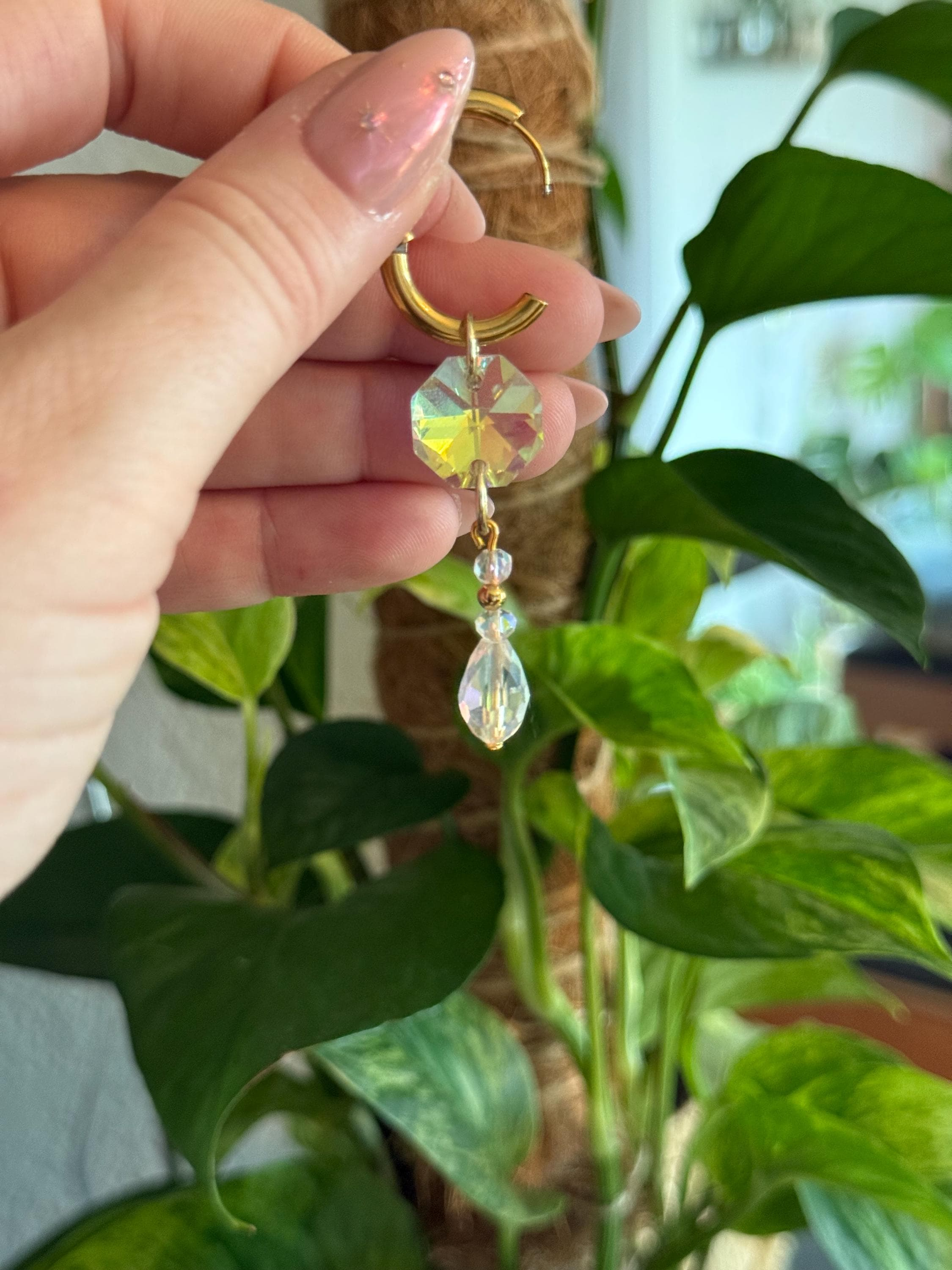 Prism Plant Charm, Iridescent Crystal Suncatcher, Rainbow Plant Jewelry, Clip on Houseplant Decor, Plant Lover Gift 1 - MeasureMason Prism Plant Charm, Iridescent Crystal Suncatcher, Rainbow Plant Jewelry, Clip on Houseplant Decor, Plant Lover Gift 1