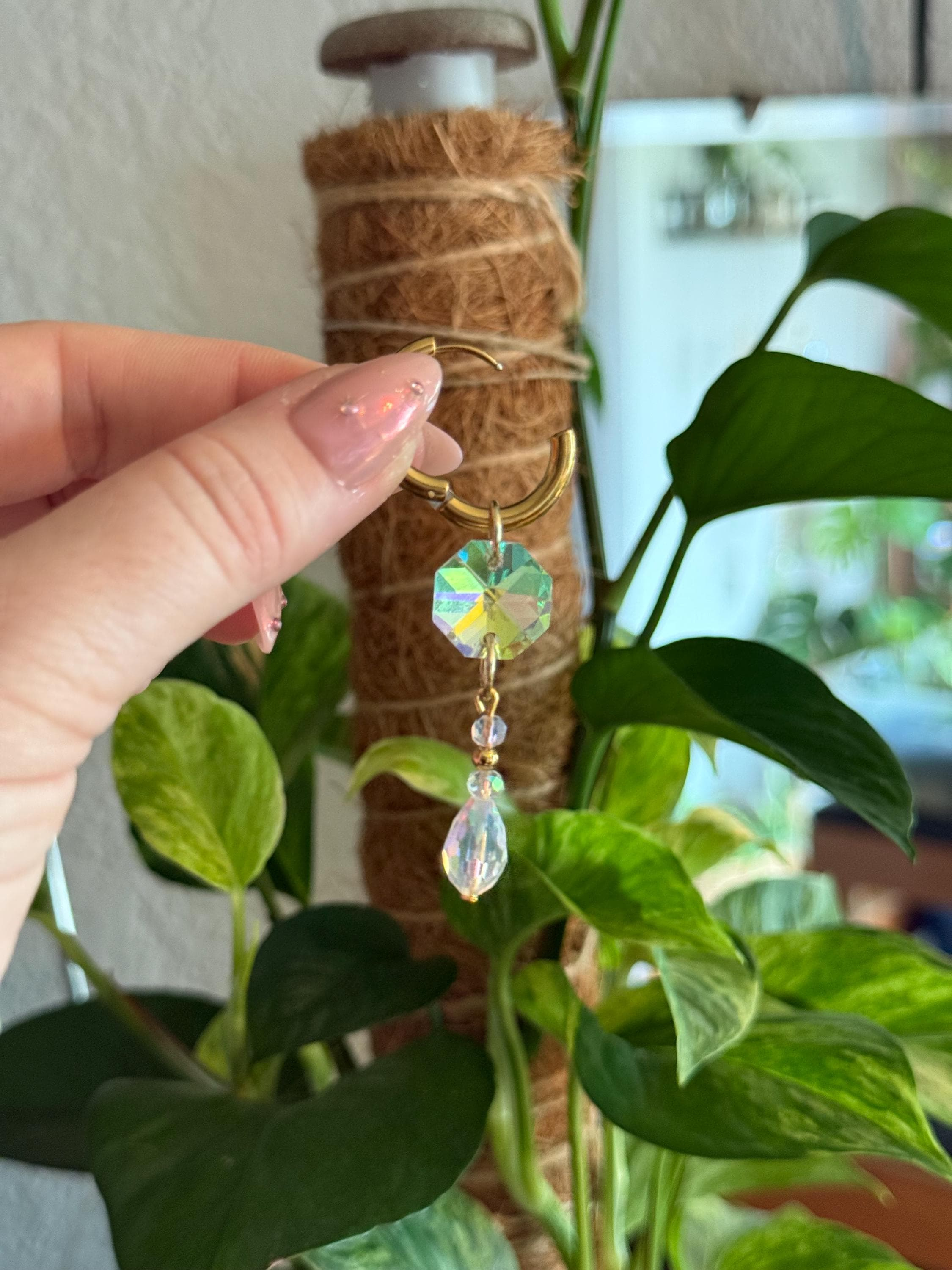 Prism Plant Charm, Iridescent Crystal Suncatcher, Rainbow Plant Jewelry, Clip on Houseplant Decor, Plant Lover Gift Prism Plant Charm, Iridescent Crystal Suncatcher, Rainbow Plant Jewelry, Clip on Houseplant Decor, Plant Lover Gift
