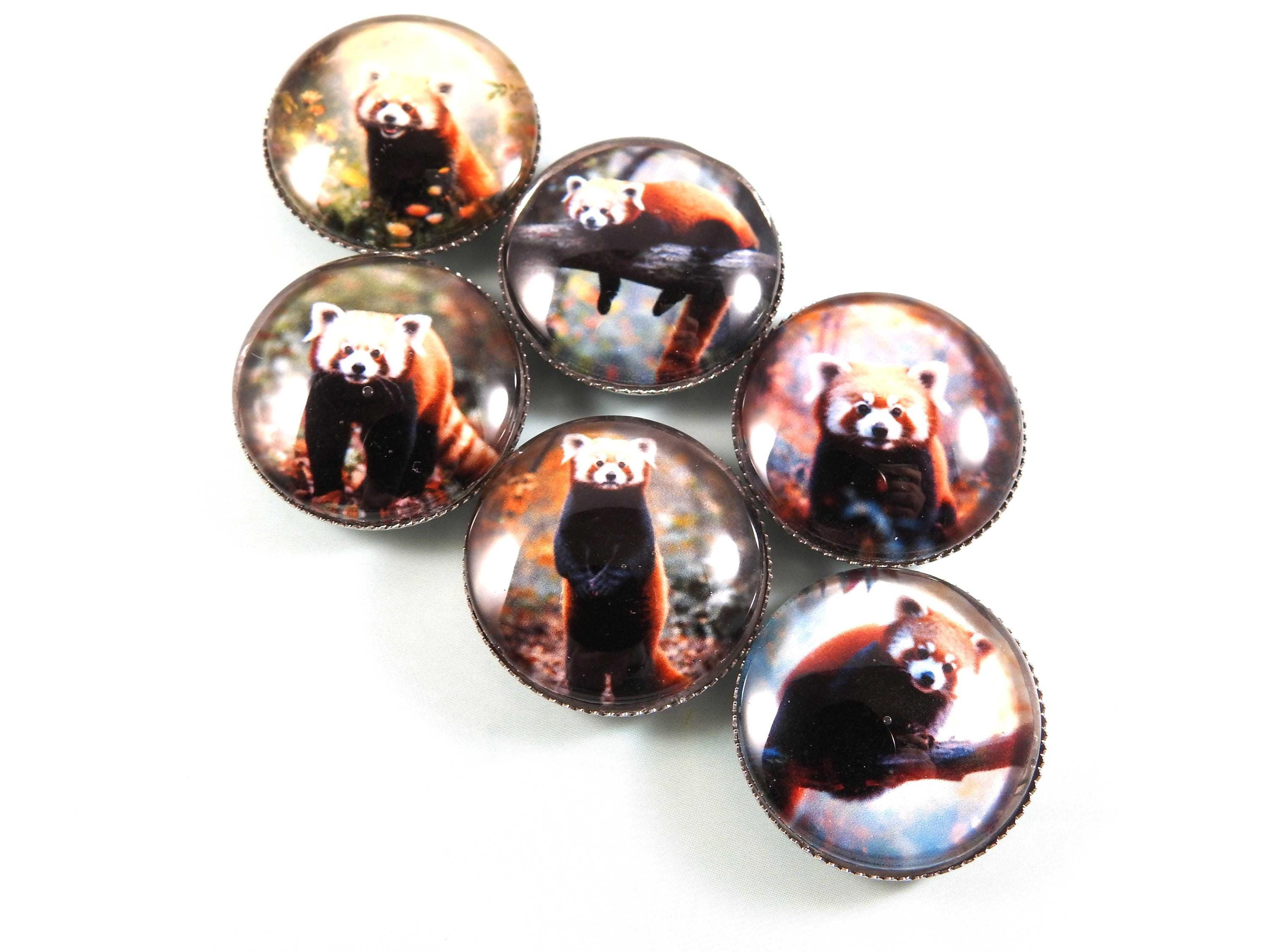 Handmade Glass Cabochon Fridge Magnets Set
