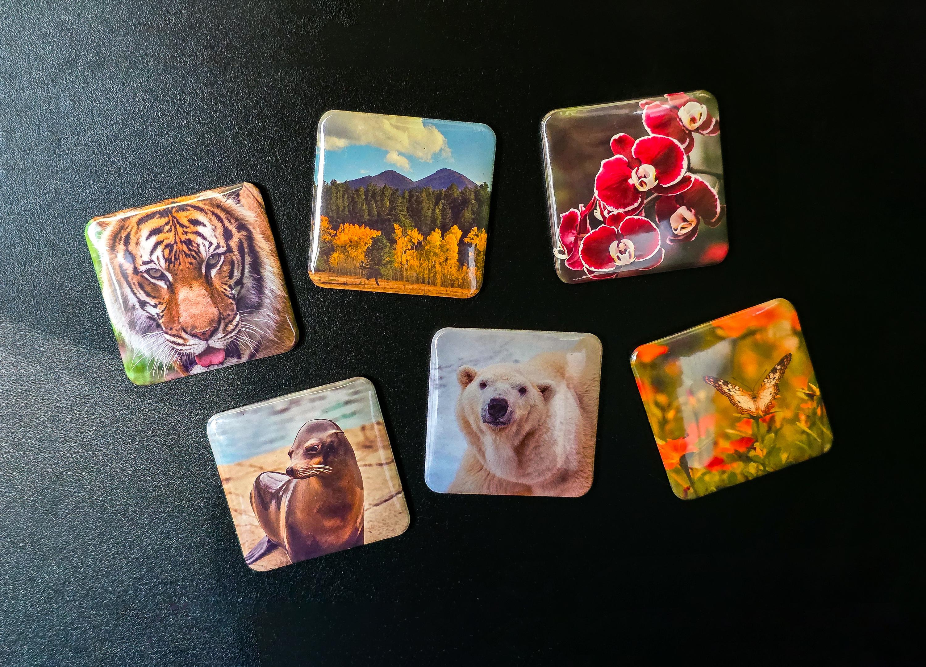 Custom Photo Magnet 2 Inch Square - Personalized Mini Magnet for Fridge Office Decor Gift