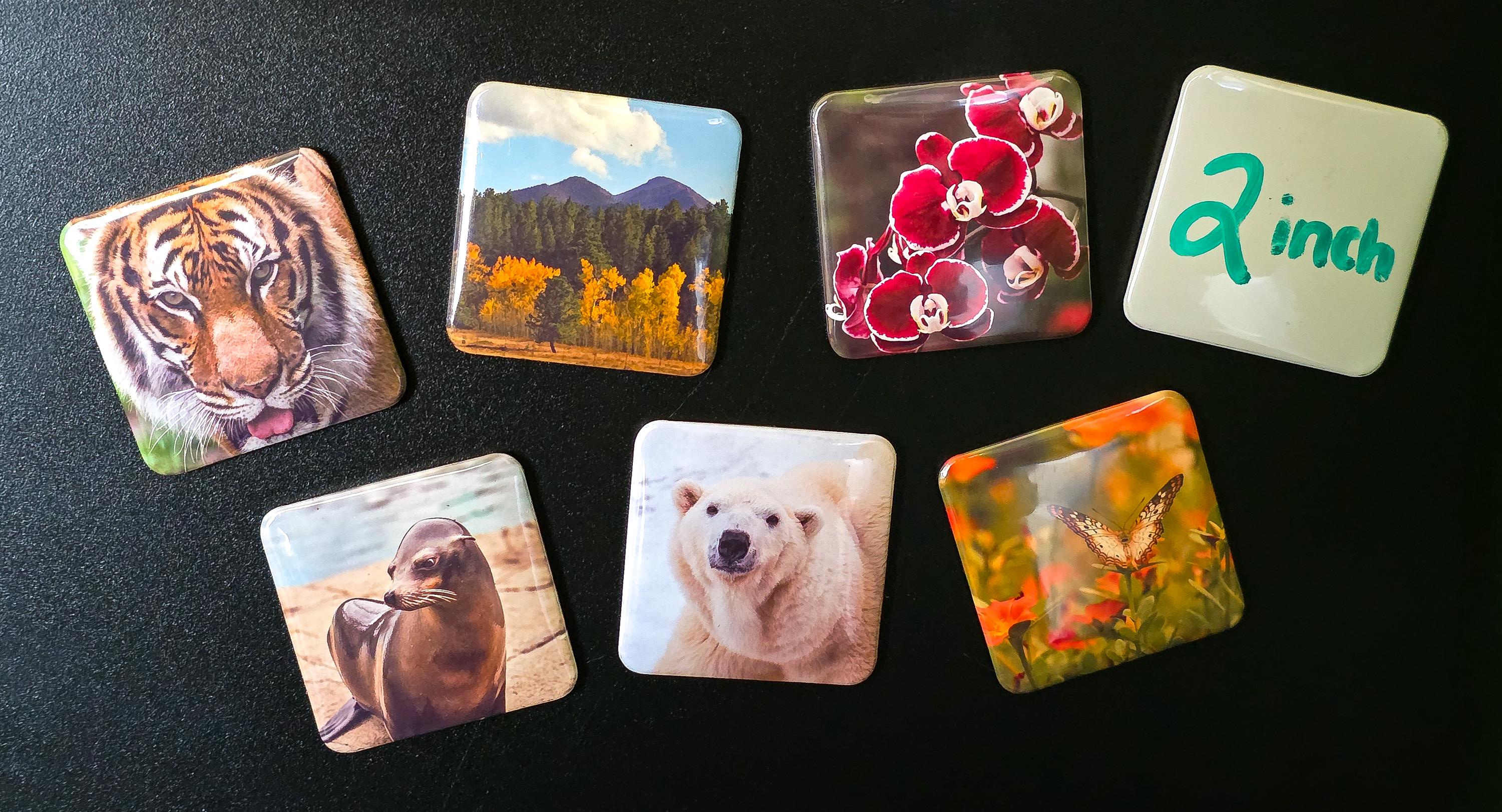 Custom Photo Magnet 2 Inch Square - Personalized Mini Magnet for Fridge Office Decor Gift 2 - MeasureMason Custom Photo Magnet 2 Inch Square - Personalized Mini Magnet for Fridge Office Decor Gift 2