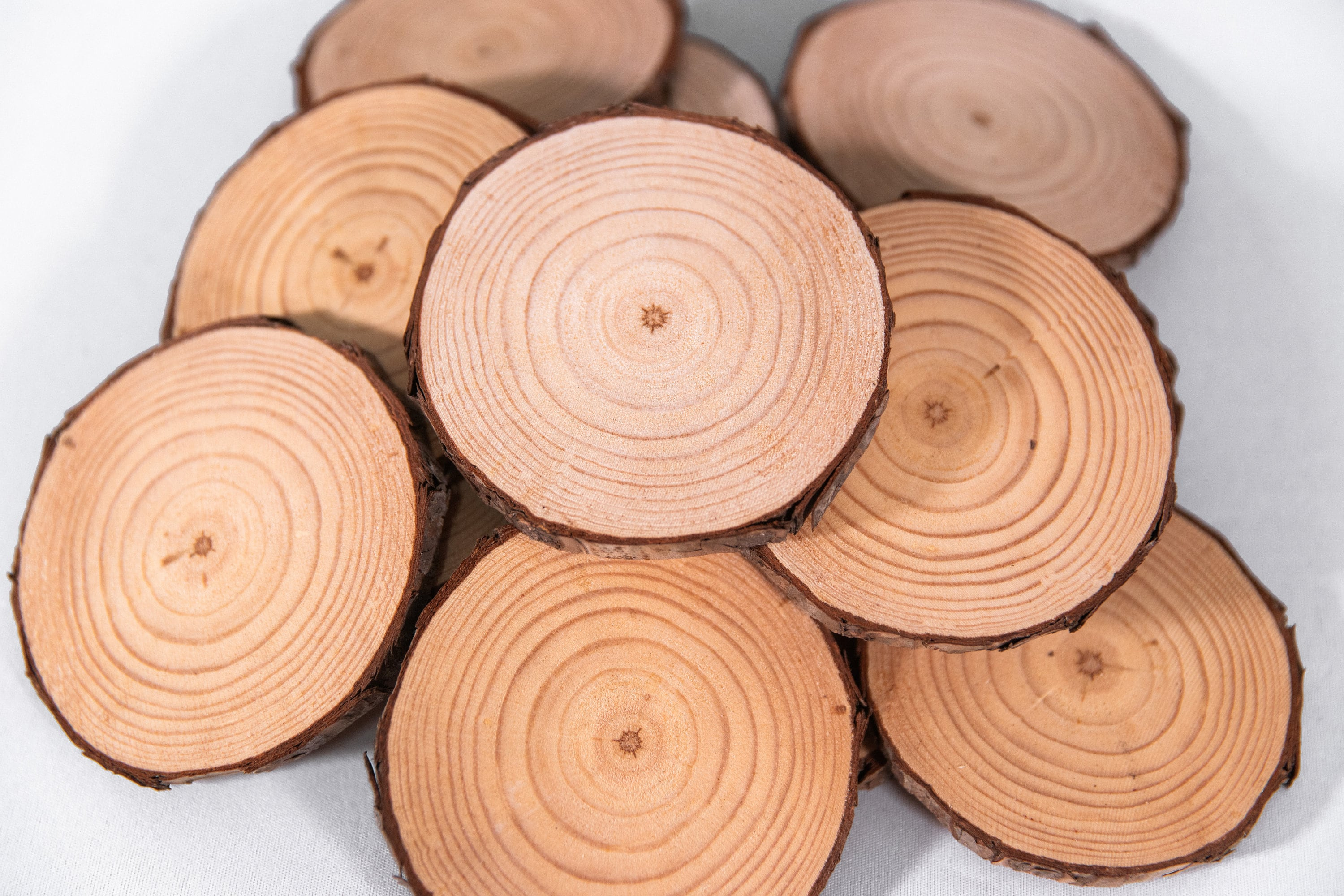 Premium Wood Slices for Crafts - 3.5-4.25" Bulk Pack, Kiln-Dried Tree Slices for DIY Ornaments & Coasters 2 - MeasureMason Premium Wood Slices for Crafts - 3.5-4.25" Bulk Pack, Kiln-Dried Tree Slices for DIY Ornaments & Coasters 2