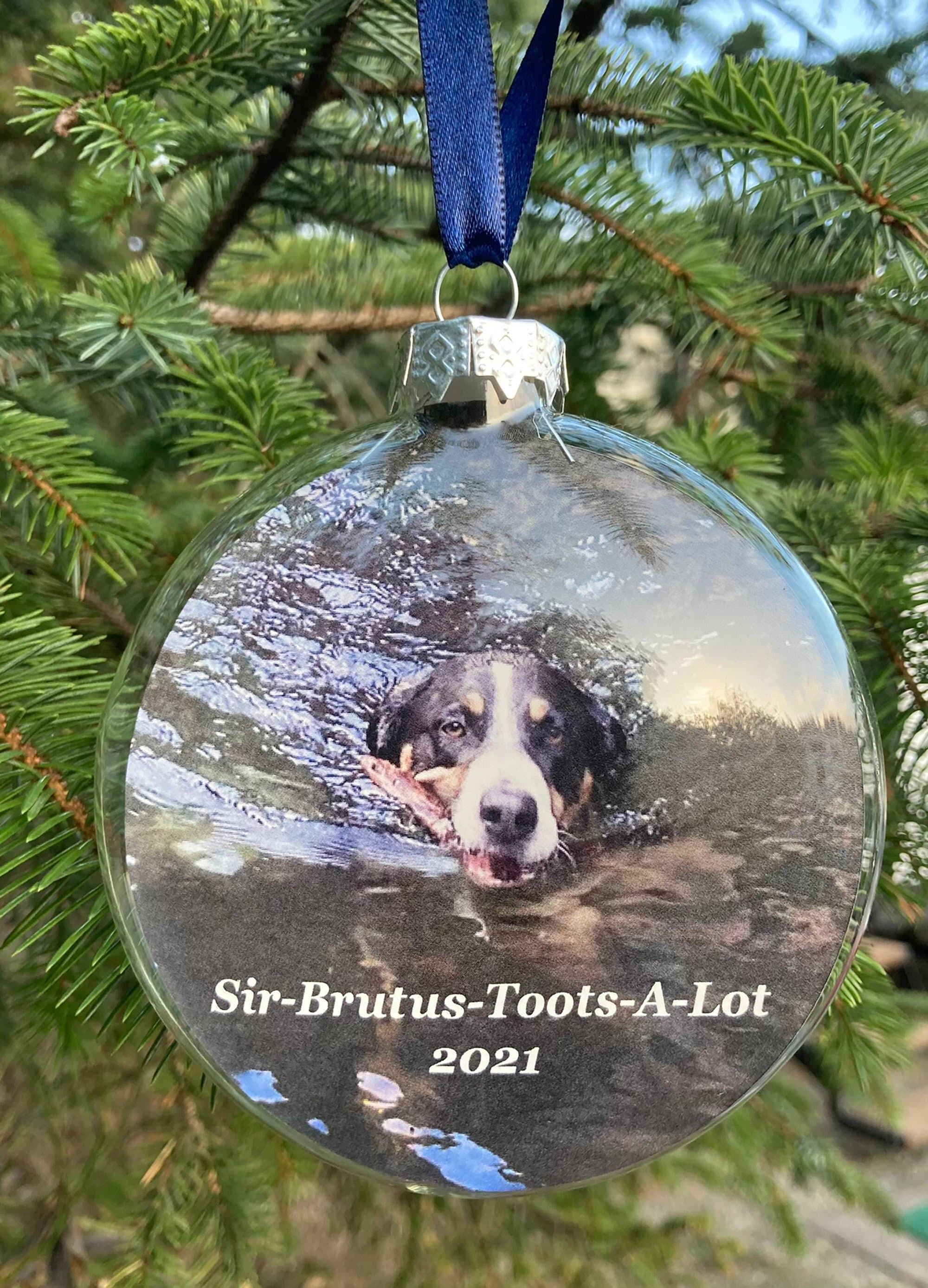 Personalized Photo Ornament - 4 Inch Glass Disc - Custom Family Christmas Keepsake Personalized Photo Ornament - 4 Inch Glass Disc - Custom Family Christmas Keepsake