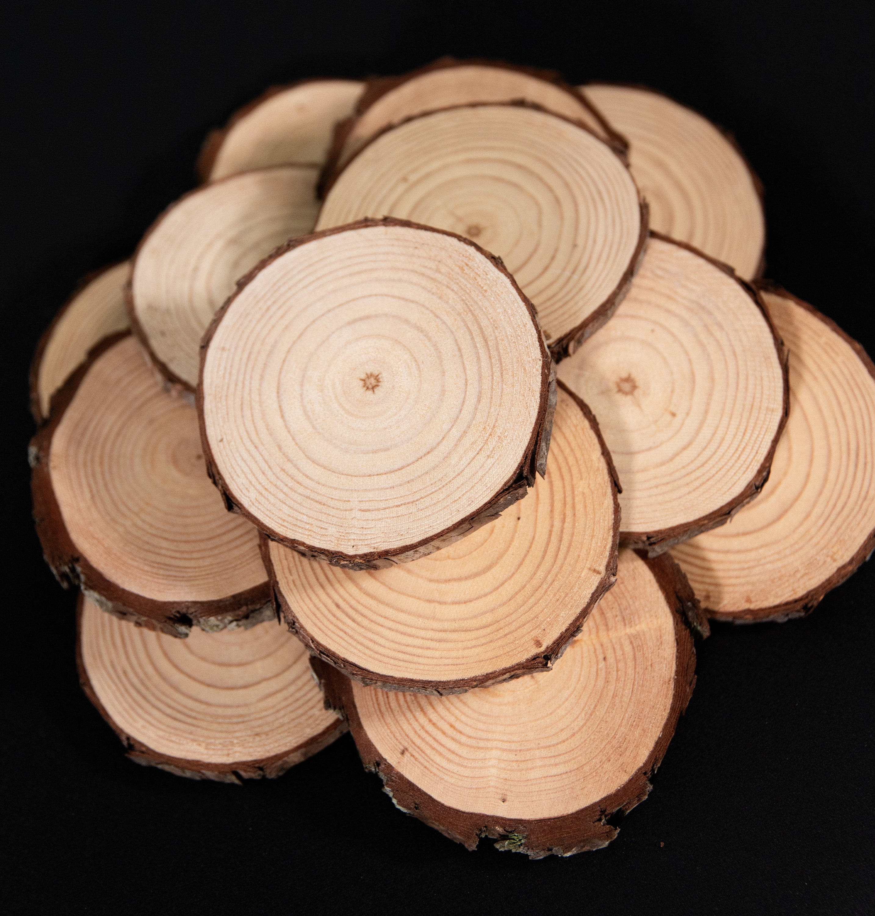 Premium Wood Slices for Crafts - 3.5-4.25