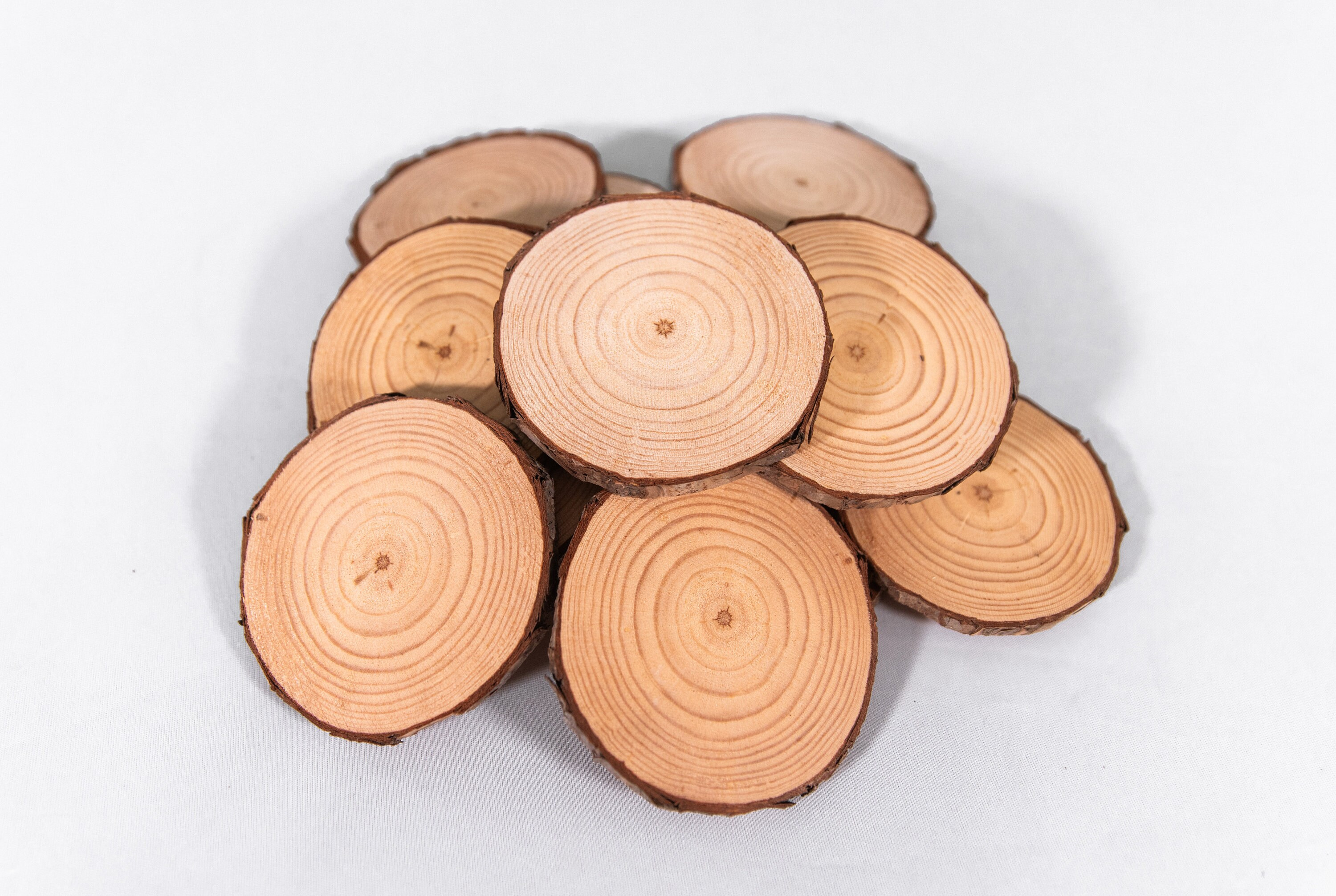 Premium Wood Slices for Crafts - 3.5-4.25" Bulk Pack, Kiln-Dried Tree Slices for DIY Ornaments & Coasters 4 - MeasureMason Premium Wood Slices for Crafts - 3.5-4.25" Bulk Pack, Kiln-Dried Tree Slices for DIY Ornaments & Coasters 4