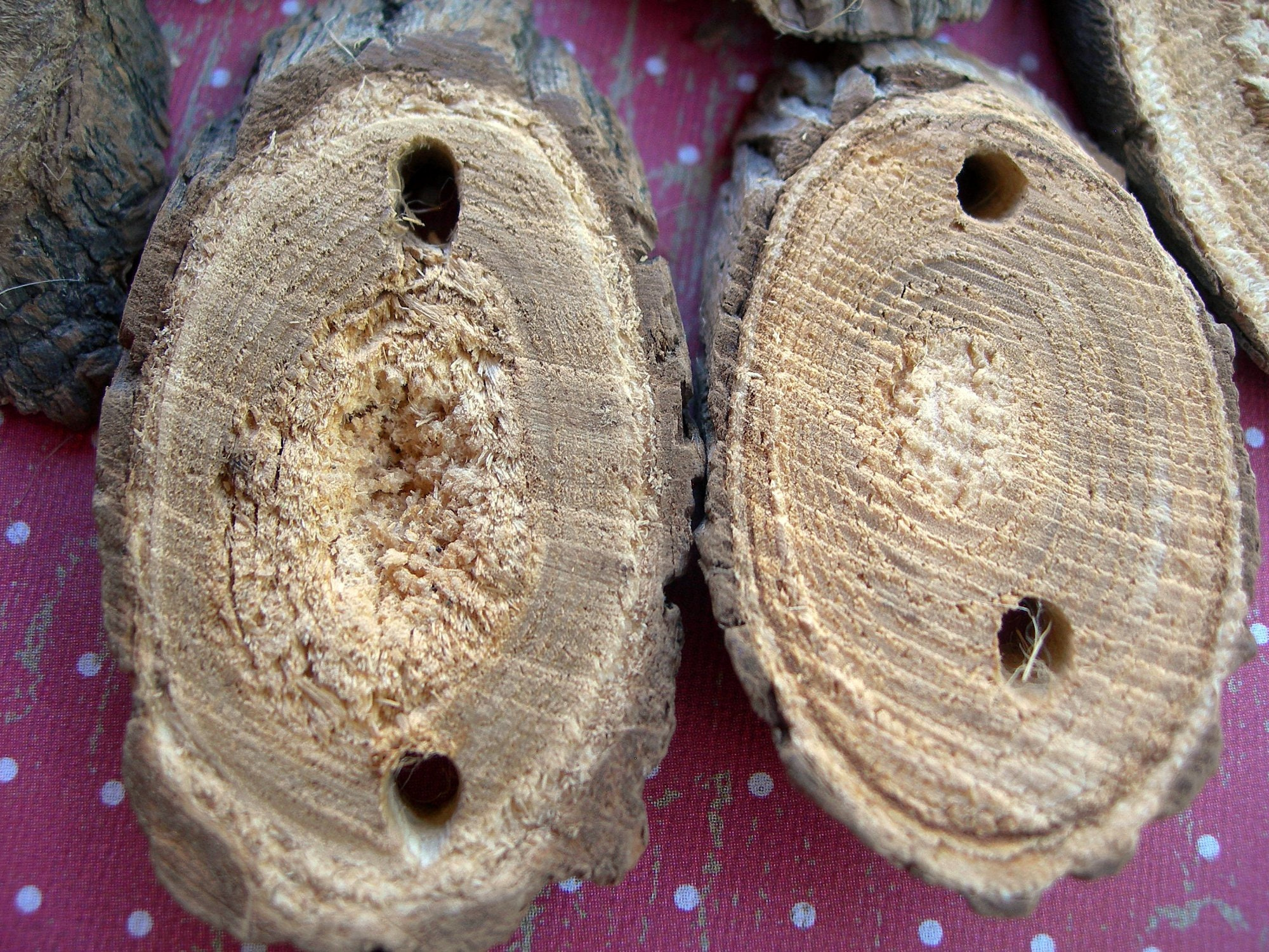 10 Natural Oval Wood Slices with Bark, Predrilled Holes, 2-3 Inches Craft Plaques for DIY Projects 1