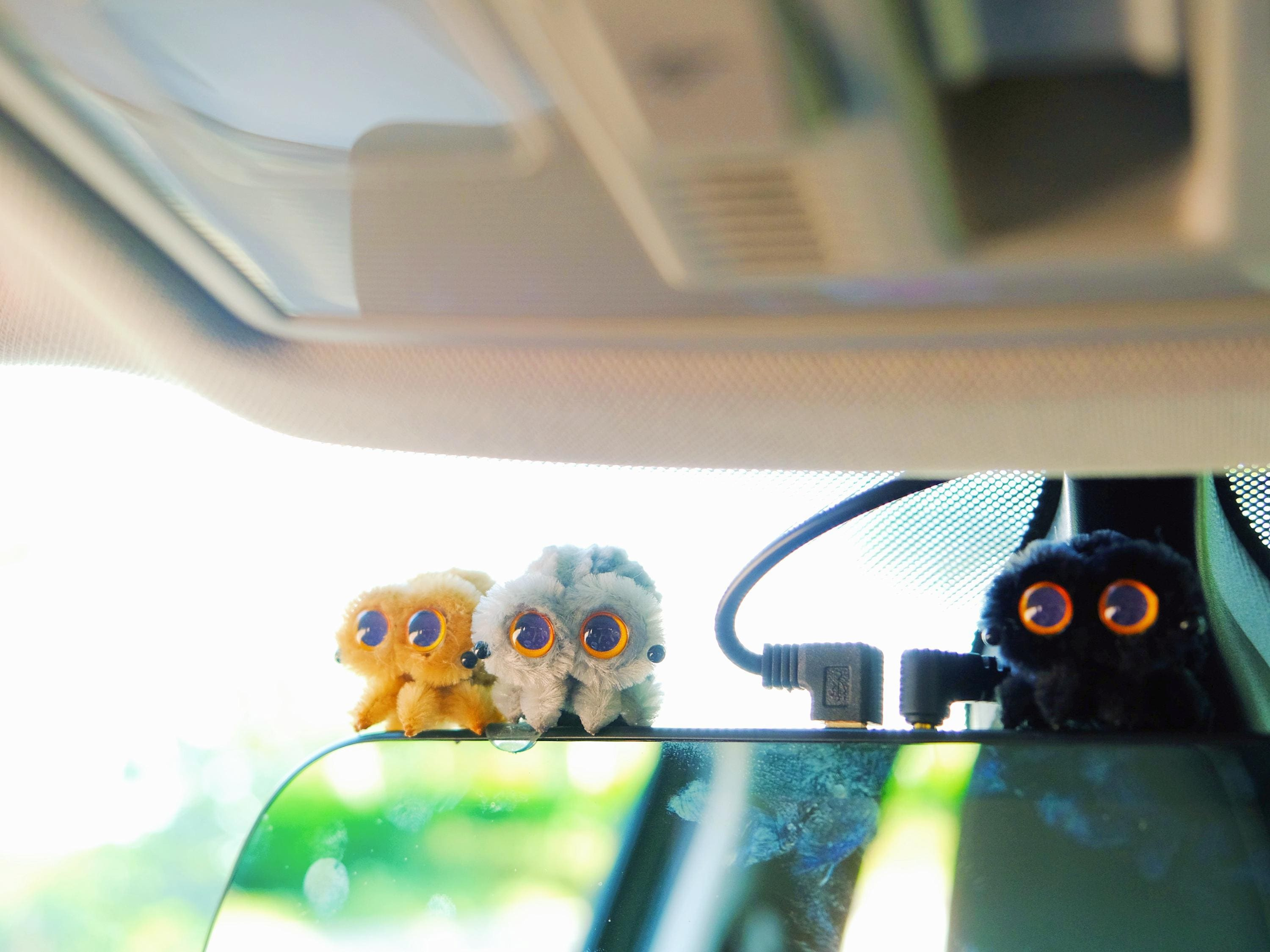 6 Pcs Mini Pipe Cleaner Spiders for Car Dashboard, Cute Chenille Rainbow Spider Charms for Women 4 - MeasureMason 6 Pcs Mini Pipe Cleaner Spiders for Car Dashboard, Cute Chenille Rainbow Spider Charms for Women 4